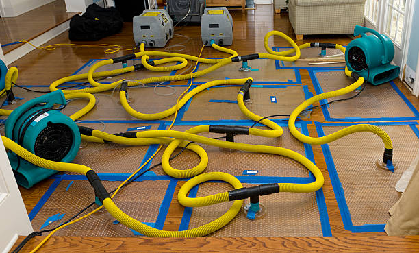 Professional Storm Water Damage Restoration technician working in Athens, OH